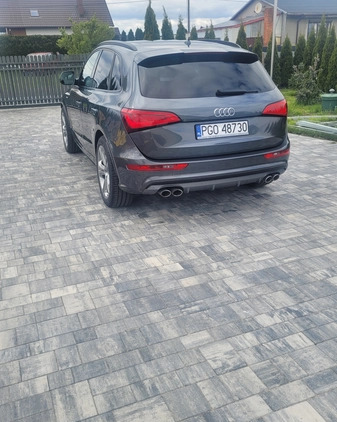 Audi SQ5 cena 89999 przebieg: 175376, rok produkcji 2014 z Szczebrzeszyn małe 172